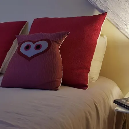 Bed & Breakfast La Chouette Maison - Chambres D'Hotes Et Gite En Ville